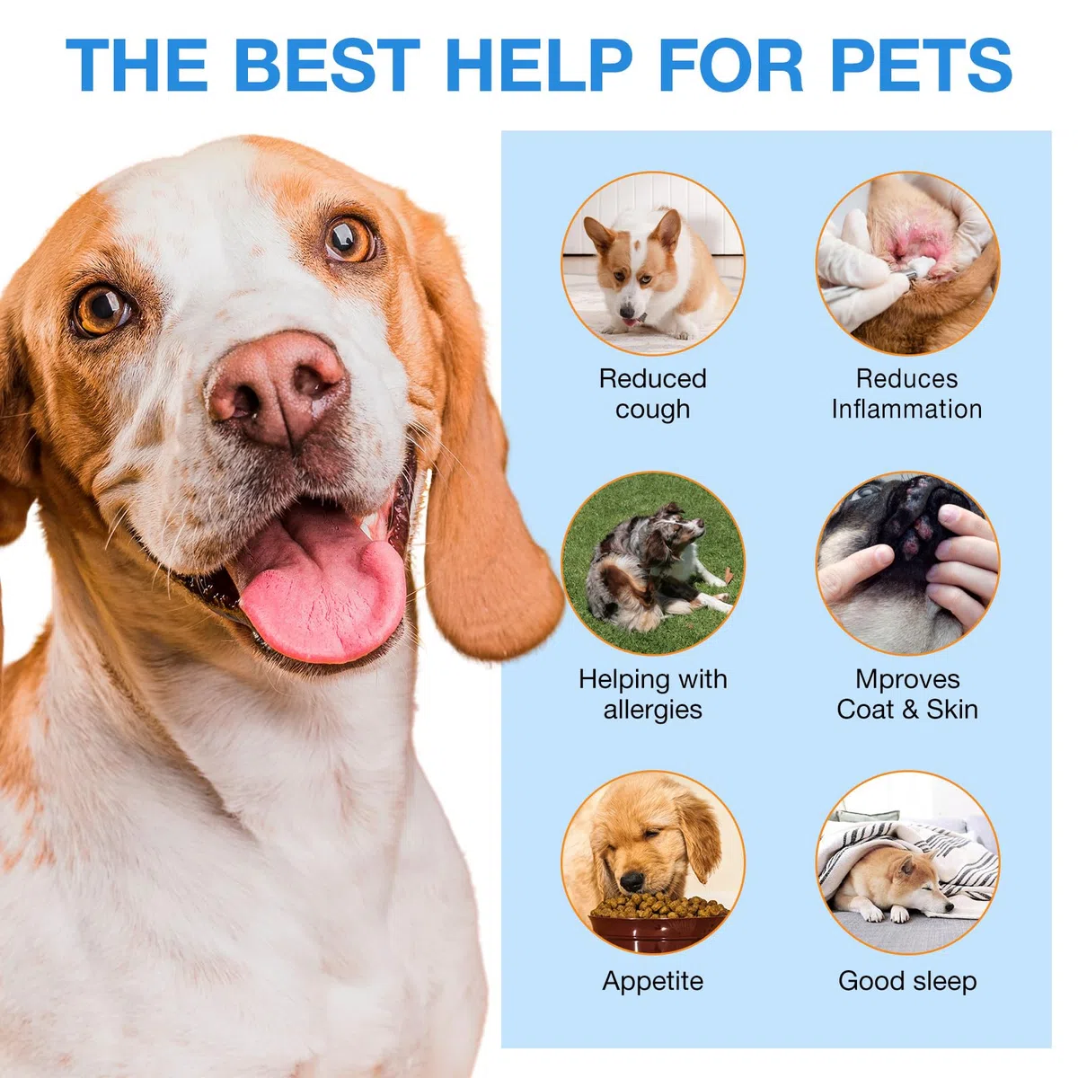 Kennel Cough for Dogs, 2 gocce liquide Remedy, Kennel Cough Treatment for Dogs, trattamento tosse per cani per tutte le razze e dimensioni