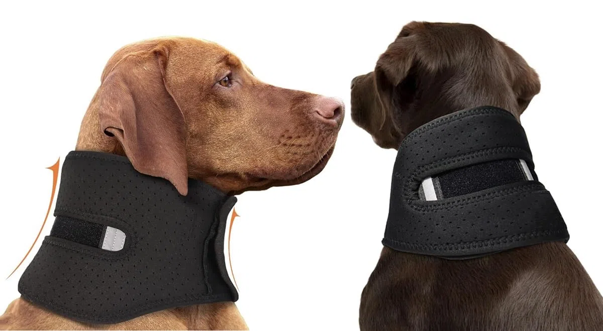 Collare Cervicale per Animali Domestici per Cani e Gatti, Tutore per il Collo per Sollievo dal Dolore, Protezione per Ferite e Guarigione, per Artrite o Lesioni Cervicali, Aiuta a Recuperare