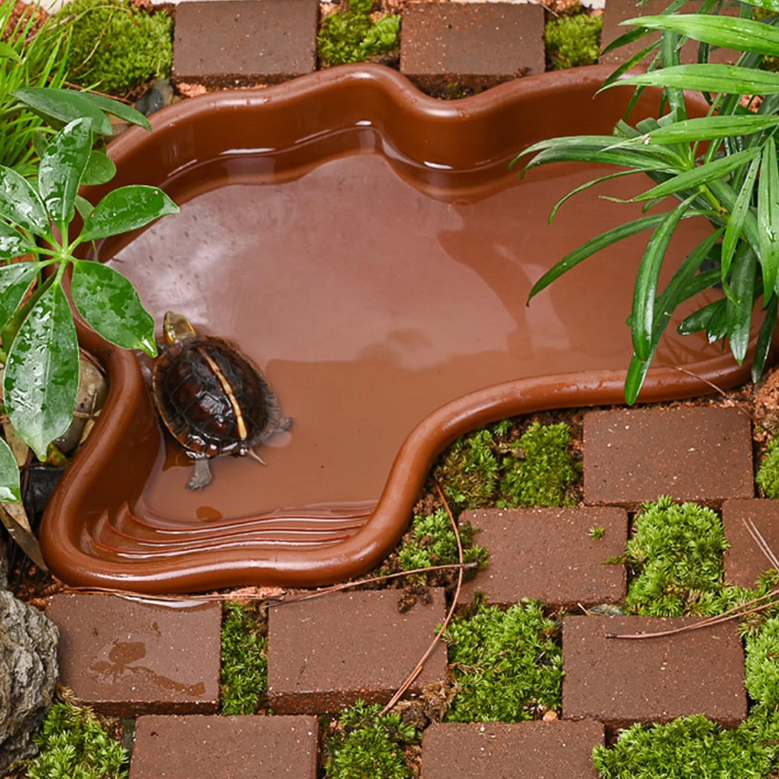 Vasca da bagno per rettili Piscina per Rettili Grande Piscina per Tartaruga Terrestre con Assorbitore d'acqua Manuale per Rettili Come Tartarughe, Lucertole, Serpenti