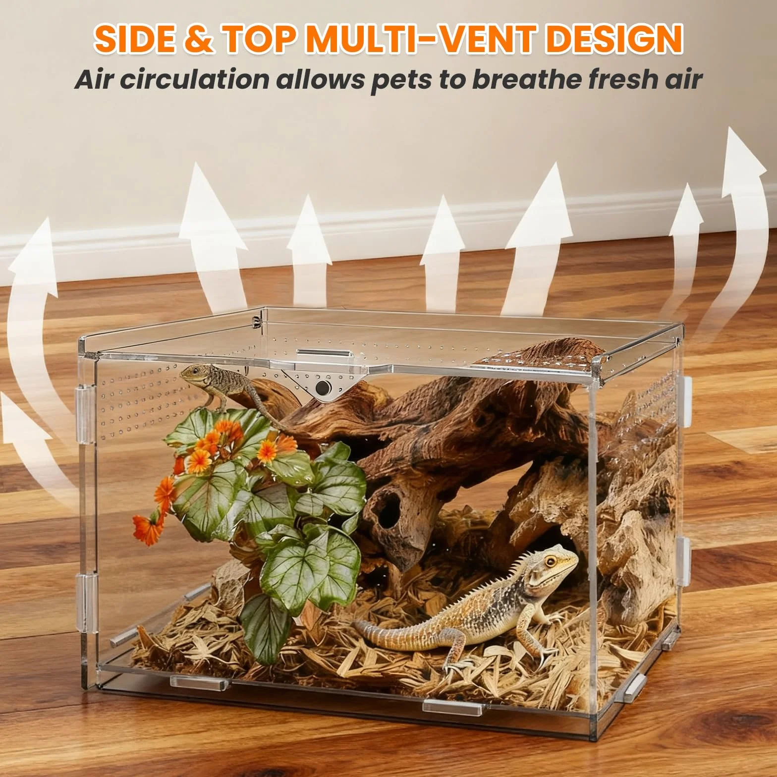 Terrario Acrilico, 20 x 12 x 12 cm Terrario per Rettili Acrilico, Trasparente Piccolo con Fori per l'Aria Teca per Geco, per Ragni, Criceti Contenitore per l'Alimentazione Degli Insetti