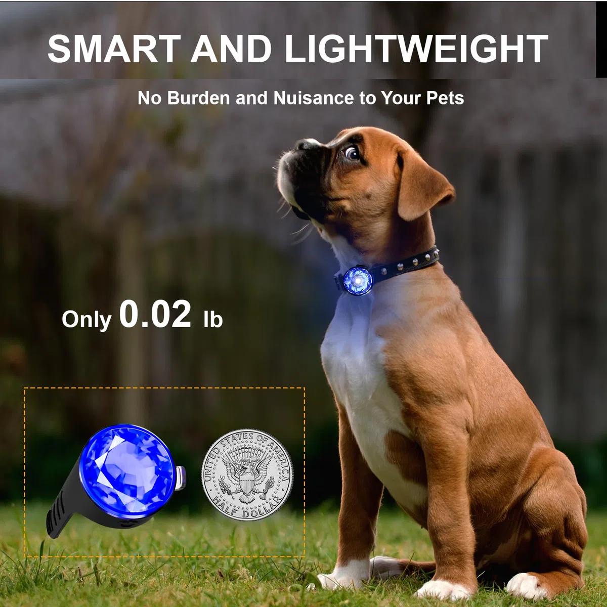 Tubasion Ciondolo luminoso per cani, USB-C ricaricabile, 100% impermeabile, LED lampeggiante, per la scuola, luci per cani per passeggiate notturne (blu).