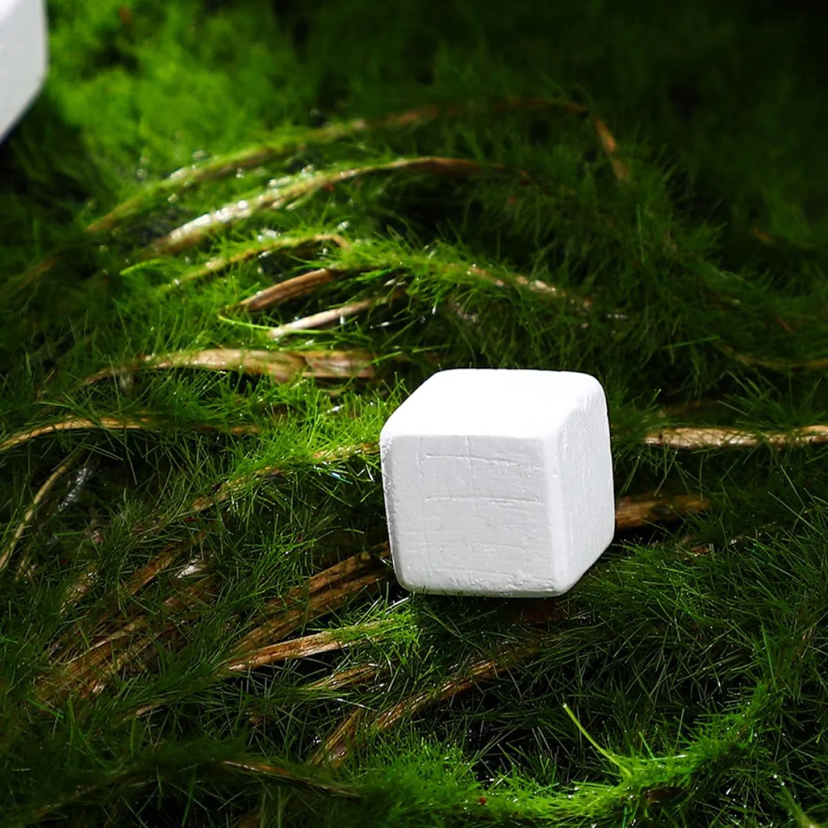 GALPADA Blocchi di Calcio Minerale Naturale per Rettili e Anfibi, 30 Pezzi, Integratore di Minerali Essenziali e Cura Dentale per Tartarughe Terrestri e Camaleonti