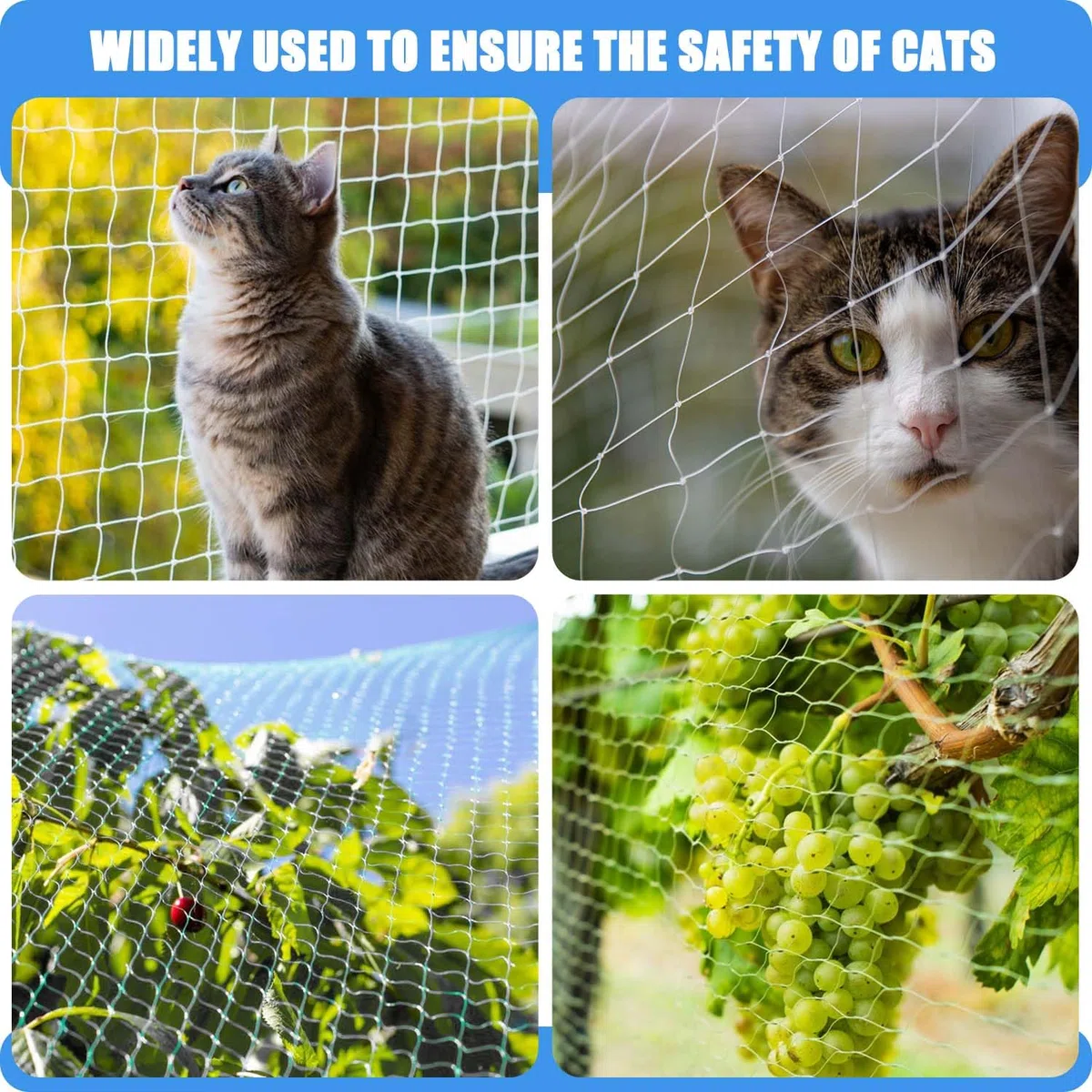 5 x 5m Rete Gatti Balcone, 2.5cm Rete per Gatti, Rete per Gatti Balcone, Rete Balcone per Gatti, Rete Gatto Adatto per Interni ed Esterni Scale Finestre Balconi Terrazze Giardini