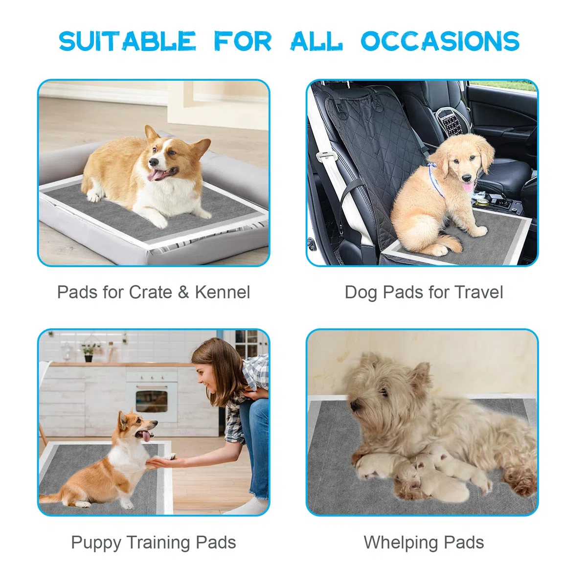 Tappetini Igienici Per Cani Al Carbone Attivo, Assorbenti Super Assorbenti Traverse Cani E Animali Domestici, 45*60 CM Assorbenti Extra Large Addensati Per Vasino, Confezione Da 50
