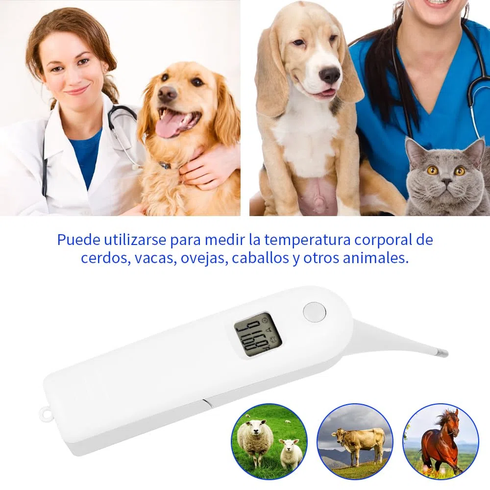 BORDSTRACT Termometro Elettronico Veterinario, Termometro Per Animali Domestici E Bovini, Display LCD, Grado, Facile da Pulire E Disinfet