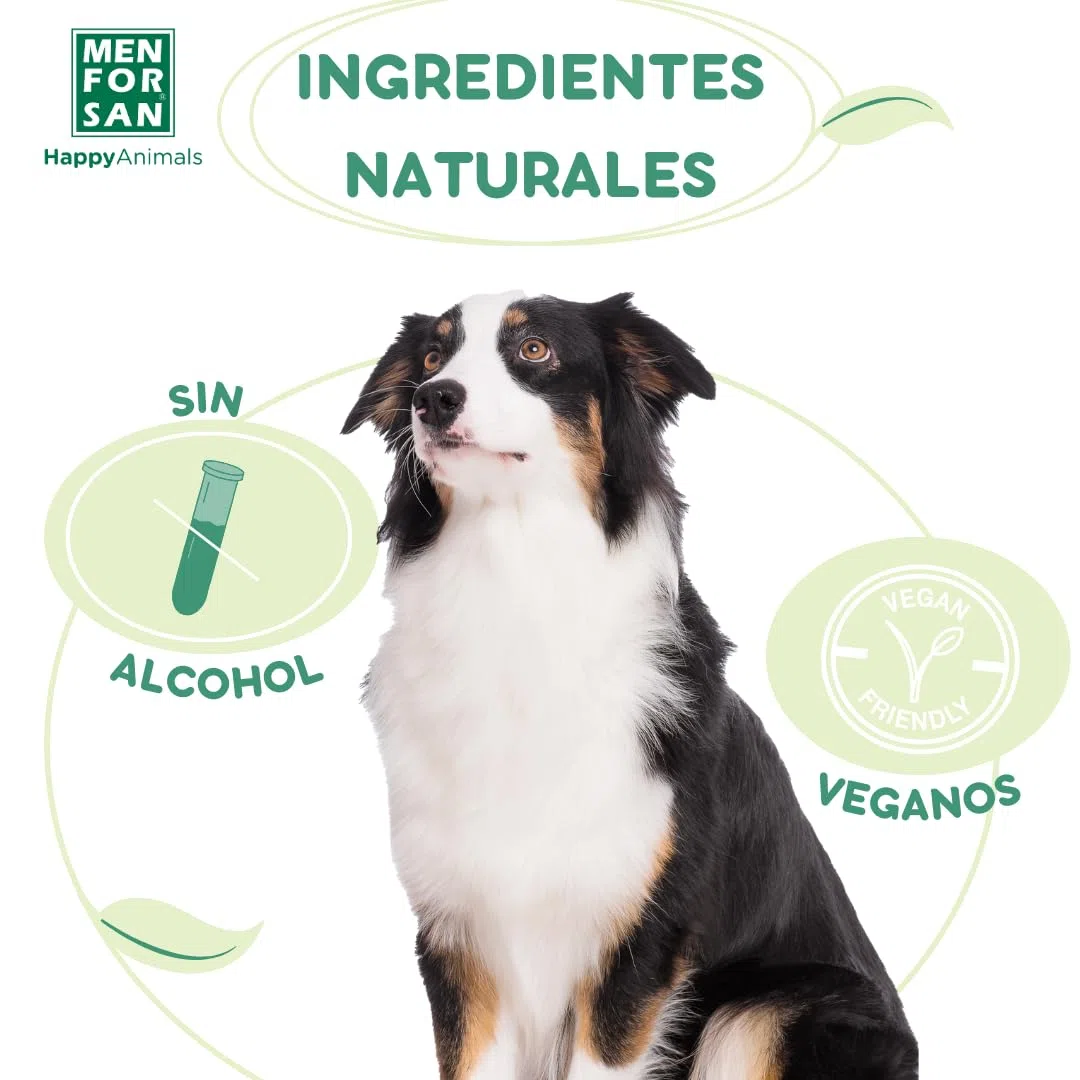 Parfum pour animaux domestiques Menforsan Chien Pomme (125 ml) EDC