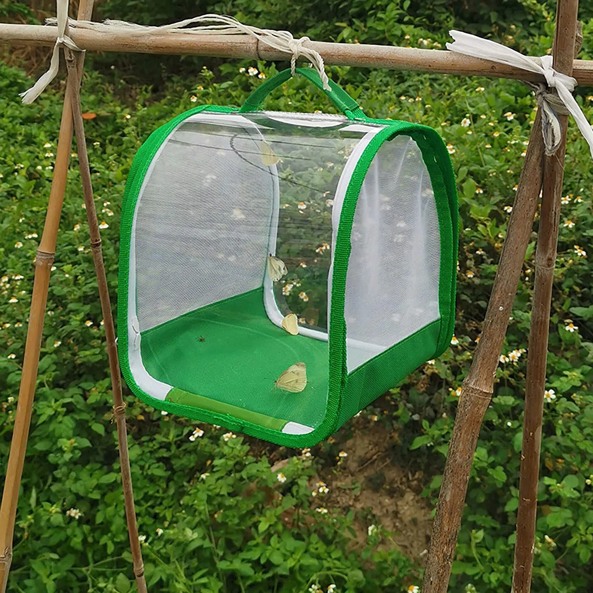 Gabbia di Osservazione Degli Insetti Trasparente a 360 Gradi - Pieghevole Portatile per Farfalle e Insetti - Con Manico e Cerniera per Osservazione Della Natura