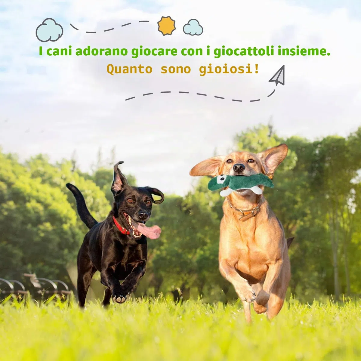 LEGEND SANDY Giocattolo per cuccioli cigolante per cani di piccola taglia e taglia medio, giocattolo per cuccioli riempito alla rinfusa con 12 set di giocattoli per cani da compagnia di peluche.