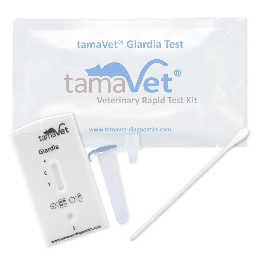 2X Test rapido Giardia Cane e Gatto – Rilevazione dell'antigene di Giardia nelle feci – Risultato rapido in Caso di diarrea e parassiti intestinali
