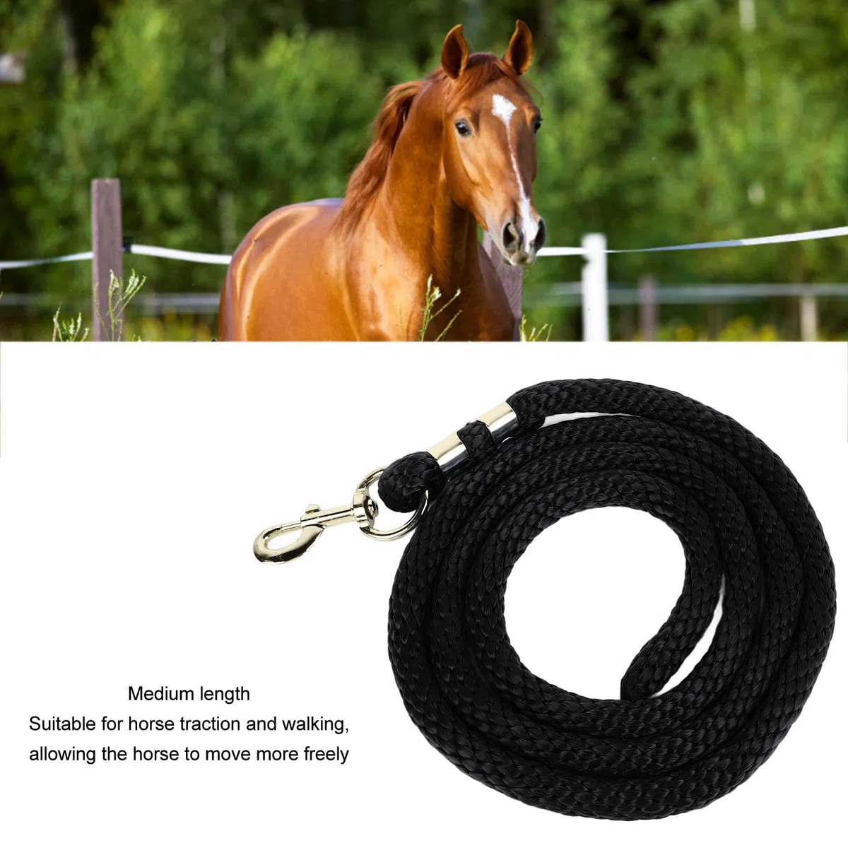 Corda per Addestramento Cavalli e Cani, Lunghezza 2 Metri, Linea di Lunging Rinforzata con Gancio, Impugnatura Confortevole, Nero