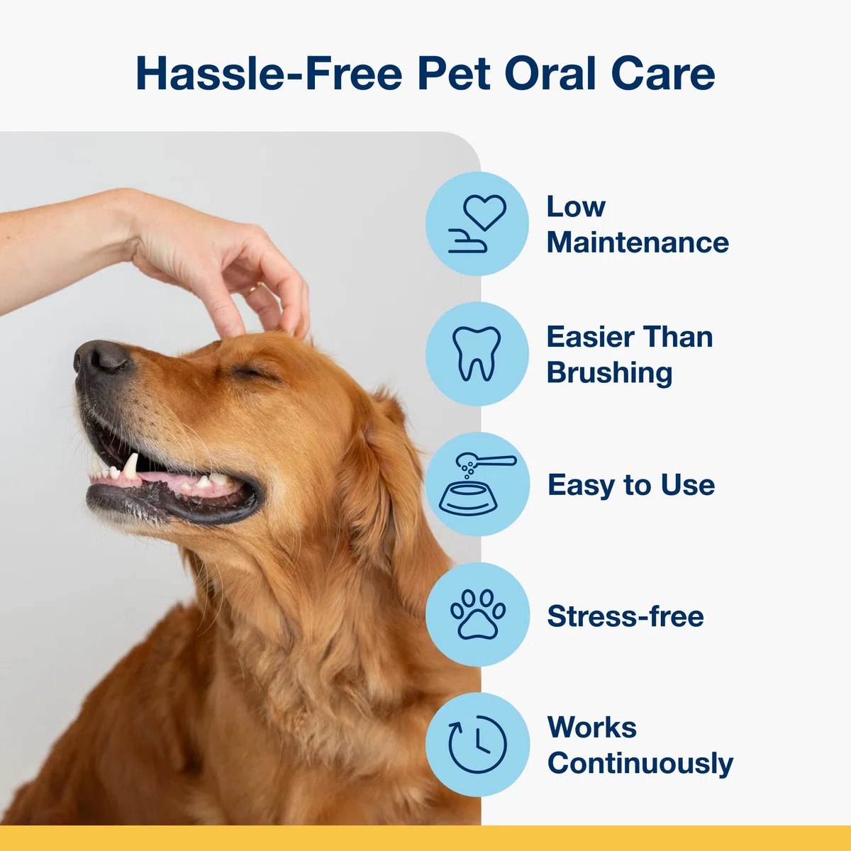 ProDen PlaqueOff Rimuovi Tartaro e Alito Cattivo 100% Naturale per Cani – Polvere Dentale da 60g con 13 Ossetti Vegetali – Confezione per Denti Sani e Alito Fresco
