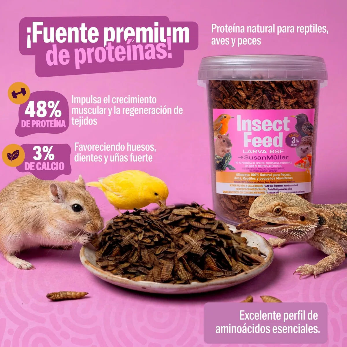 Larva di mosca soldato nera disidratate - Proteina naturale per rettili, pollame e pesci, alta densità nutrizionale, senza additivi, confezione riciclabile - Barattolo 150 g