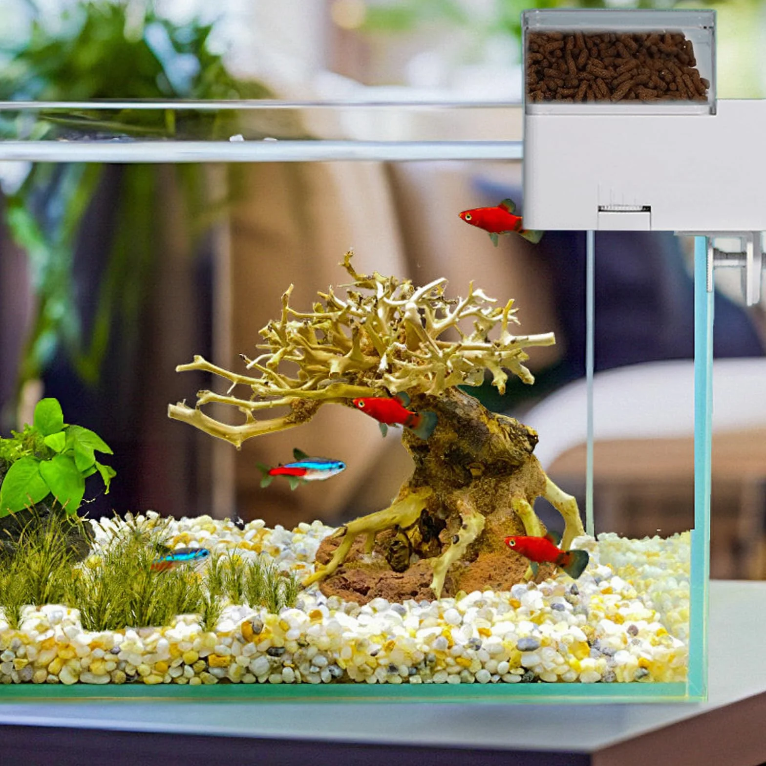 Mangiatoia automatica per acquario, 150 ml, distributore automatico di alimenti per pesci con quattro modalità di misurazione del tempo, mangiatoia automatica per pesci con contenitore per alimenti