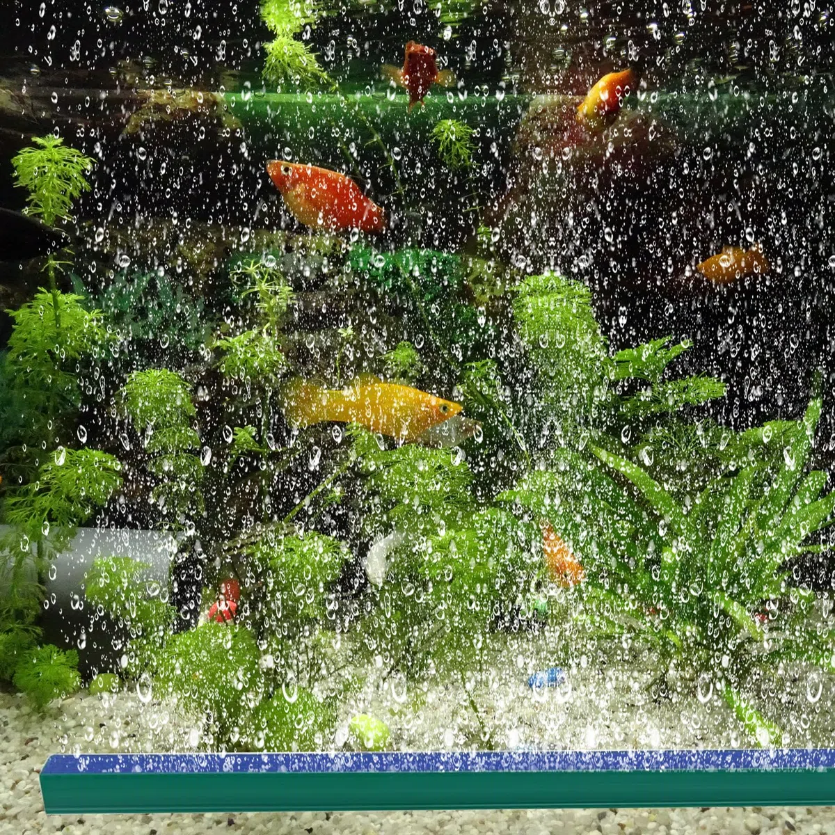 6 Pezzi Aria per Acquario Air Stone per Acquario Acquario Bubble Air Stone Pietra di Scarico per Acquari Barra Diffusore di Ossigeno con 2 Pezzi Tubo per Acquario Fish Tank Pompe d'Aria