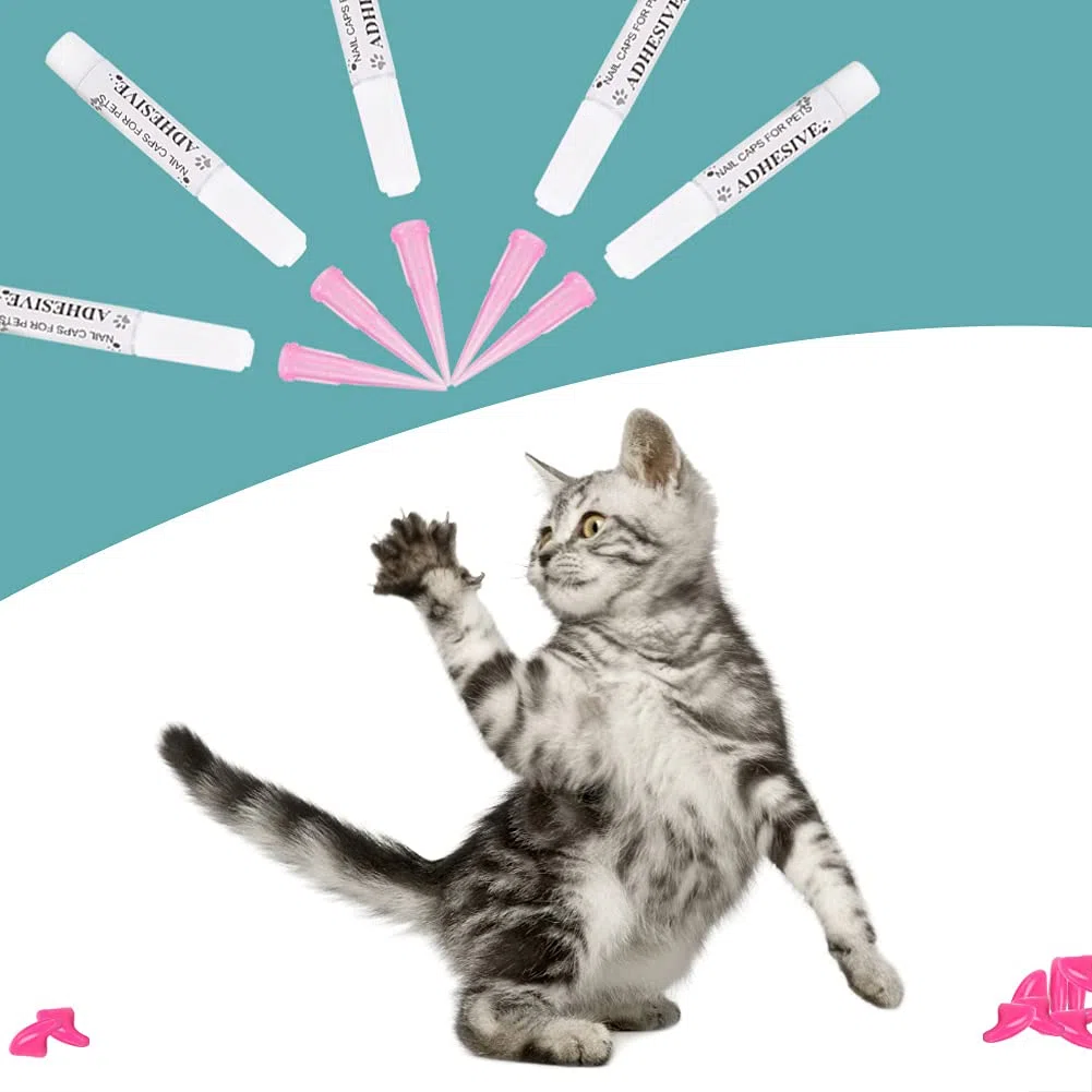 Copriunghie per Gatti, Resistente, Morbido, in PVC, per Toelettatura e Protezione AntiGraffio, Adatto per Gatti, 100 Pezzi, Rosa Rosso Azzurro XS-L (S)