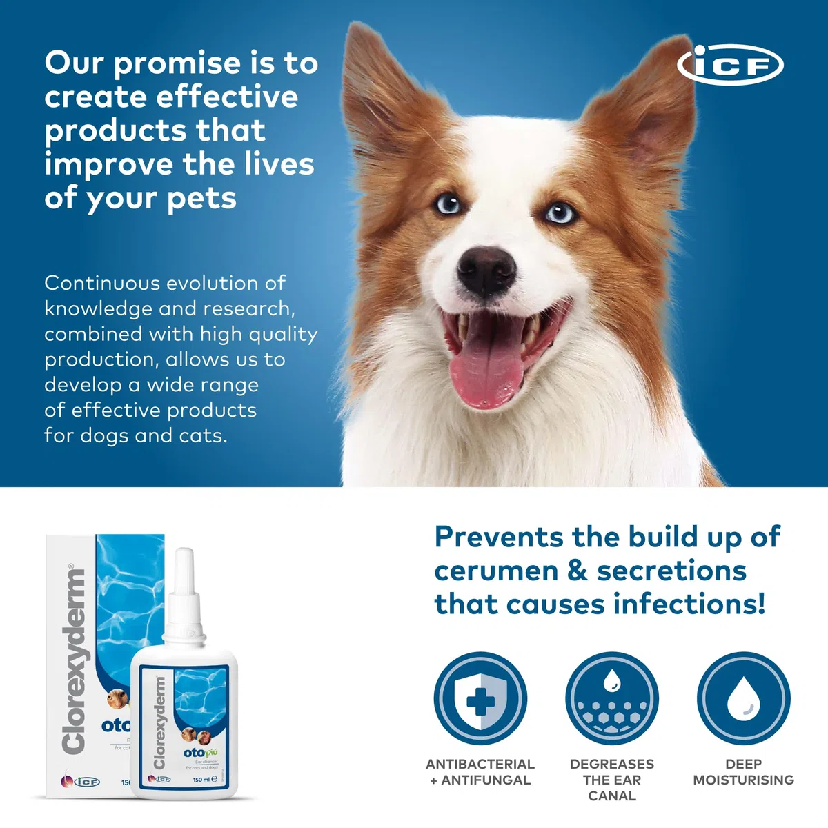 Clorexyderm Oto Più 150 Millilitri – Soluzione Potenziata per la Pulizia delle Orecchie di Cani e Gatti – Igiene Profonda in Caso di Sporco Persistente