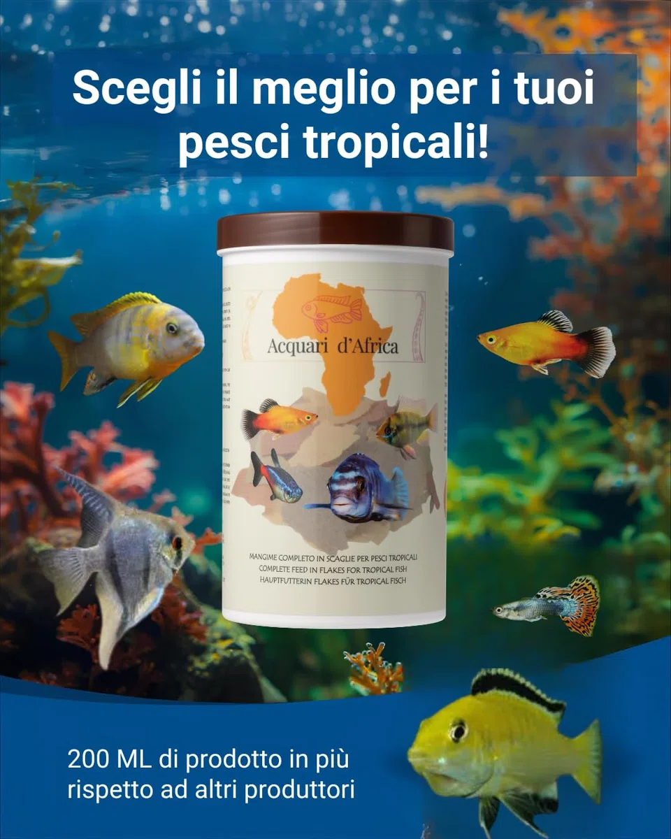 Acquari d'Africa Mangime Pesci Tropicali in Scaglie 1200ml | Formula Pura con Spirulina, Aloe Vera e Vitamine A-C-E | Per Colori Intensi e Crescita Sana | 100% Made in Italy (1000ml + 200ml Bouns)