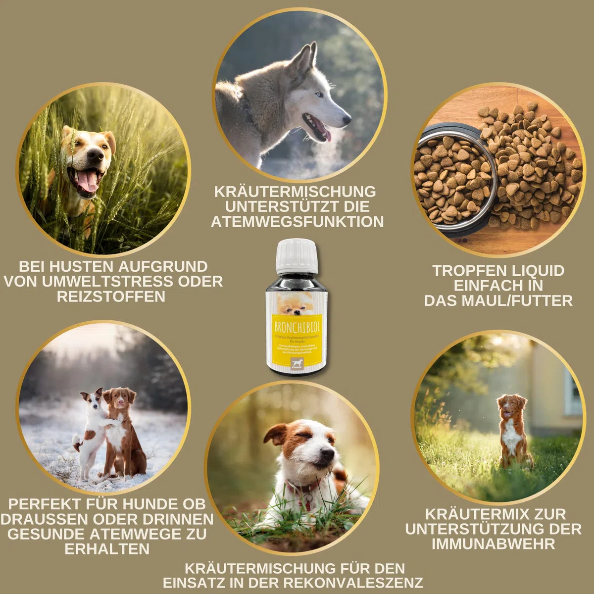 Sciroppo per la tosse per cani I Erbe bronchiali al timo I Gocce + finocchio all'anice I Rimedio per la tosse per vie aeree lenitive per tosse e raffreddore del cane I Miscela di erbe del cane 100ml