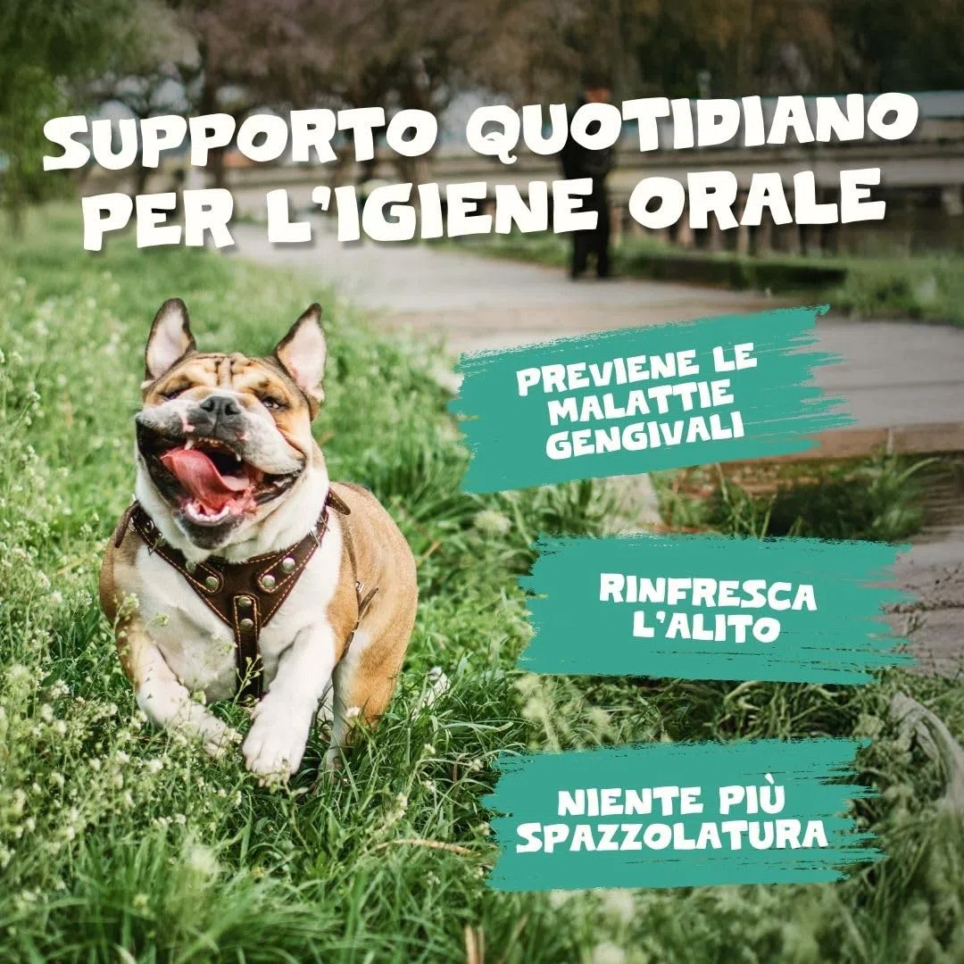 Pets Purest 100% Naturale Rimozione della Placca e del Tartaro (185g) per Cani, Gatti e Animali Domestici. Impedisce l'accumulo di placca e Il tartaro rinfresca l'alito previene Problemi alle Gengive