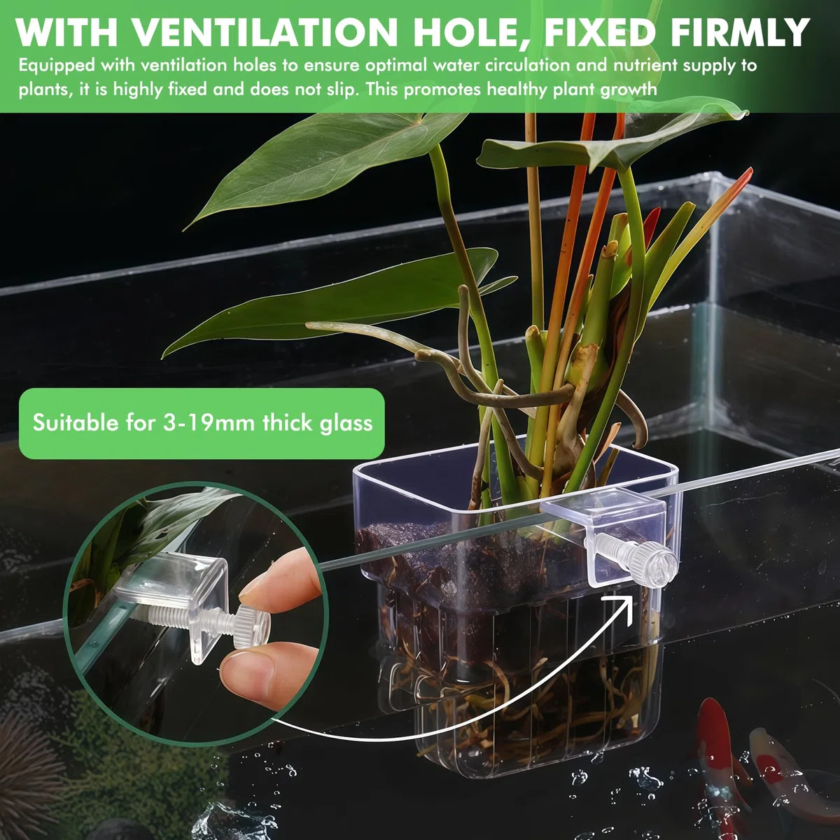 6 supporti per piante per acquario in acrilico: vasi da appendere decorativi con ventose, sistema di coltivazione per decorazione acquatica mini bacino | design moderno e pratico
