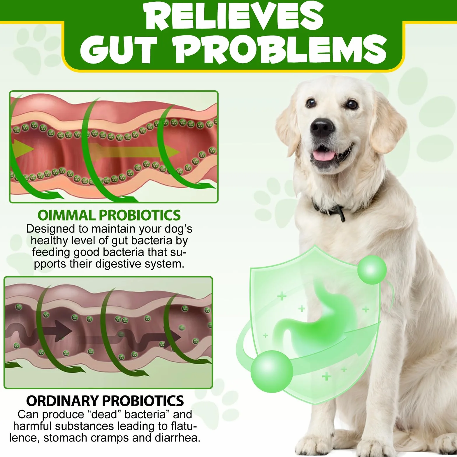 Probiotico In Polvere Per Cani - Ricco Di Prebiotici - 12 Ceppi Di Batteri Benefici, Favorisce Una Digestione Sana, Equilibra La Flora Intestinale, Rafforza Il Sistema Immunitario 120g