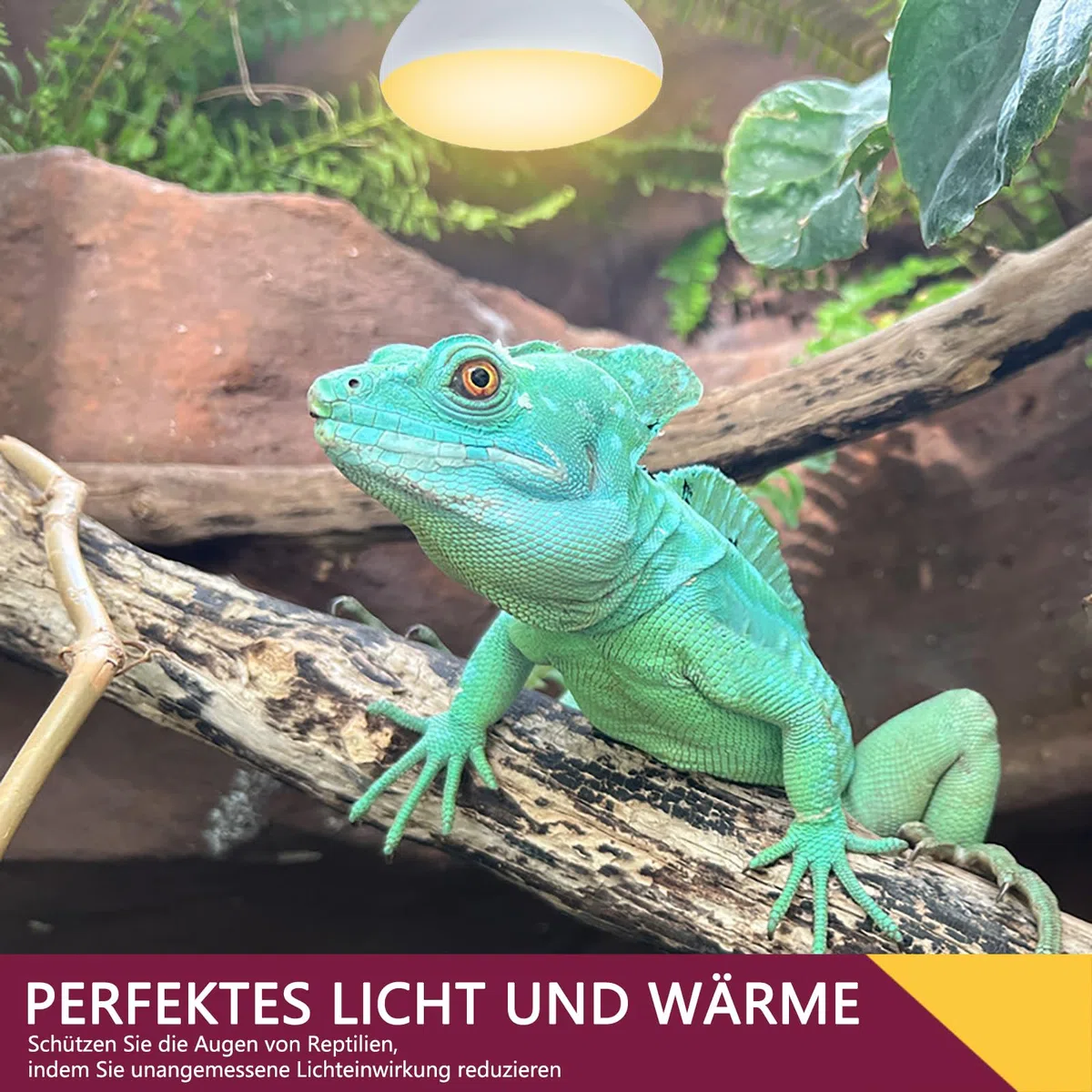 Lampada di Calore per Rettili, 150W Lampade di Calore per Anfibi, Luce Diurna UVA per Rettili, Drago Barbuto, Lucertola, Tartaruga, Pollo