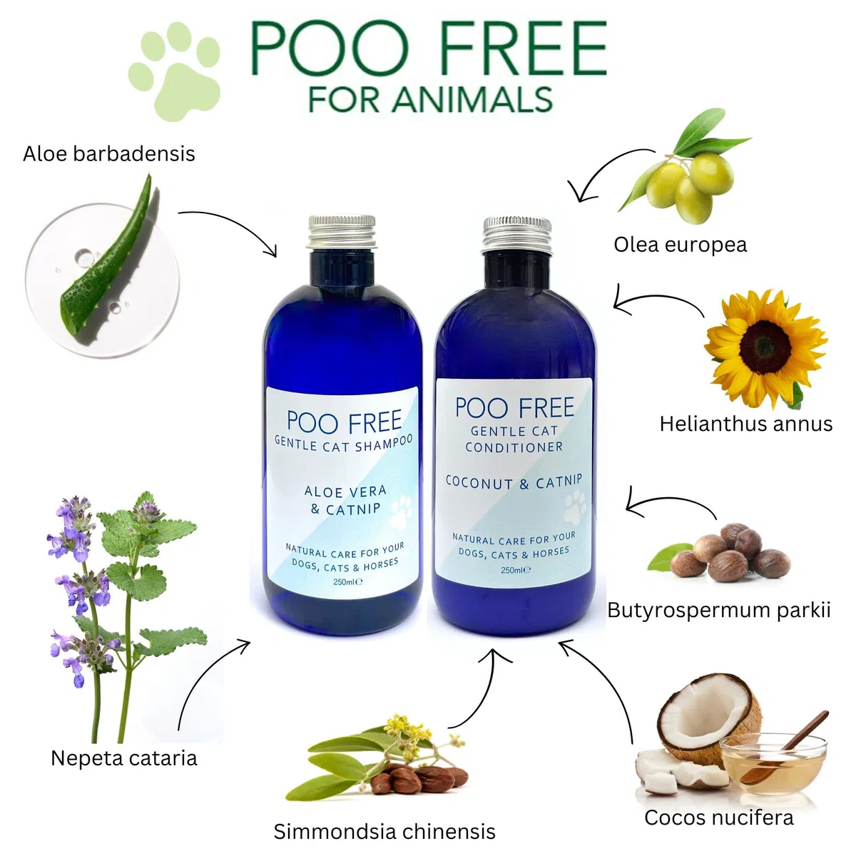 99% Naturale BALSAMO PER GATTI - COCCO & ERBA GATTA - 250ml di POO FREE. Senza Solfati, Senza Parabeni. Allevia il Prurito, Elimina Odori. Per Pelli Sensibili. Concentrato