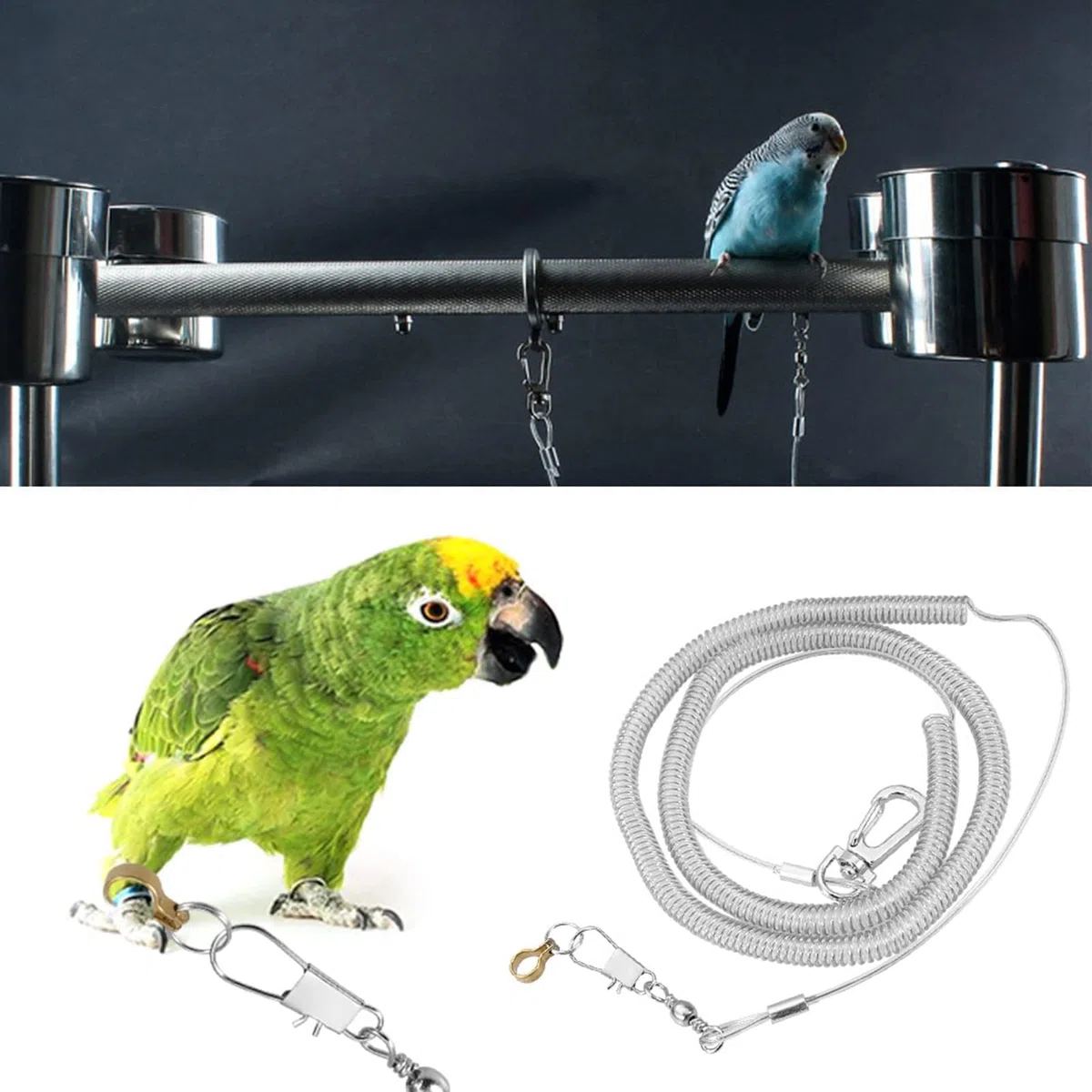 Corda Volante per Pappagallo, 6M Anti-Morso Cavigliera per Uccelli Domestici Imbracatura Regolabile per Pappagallo Fede per Pappagalli, Piccoli Animali Domestici(6,5MM+6M)