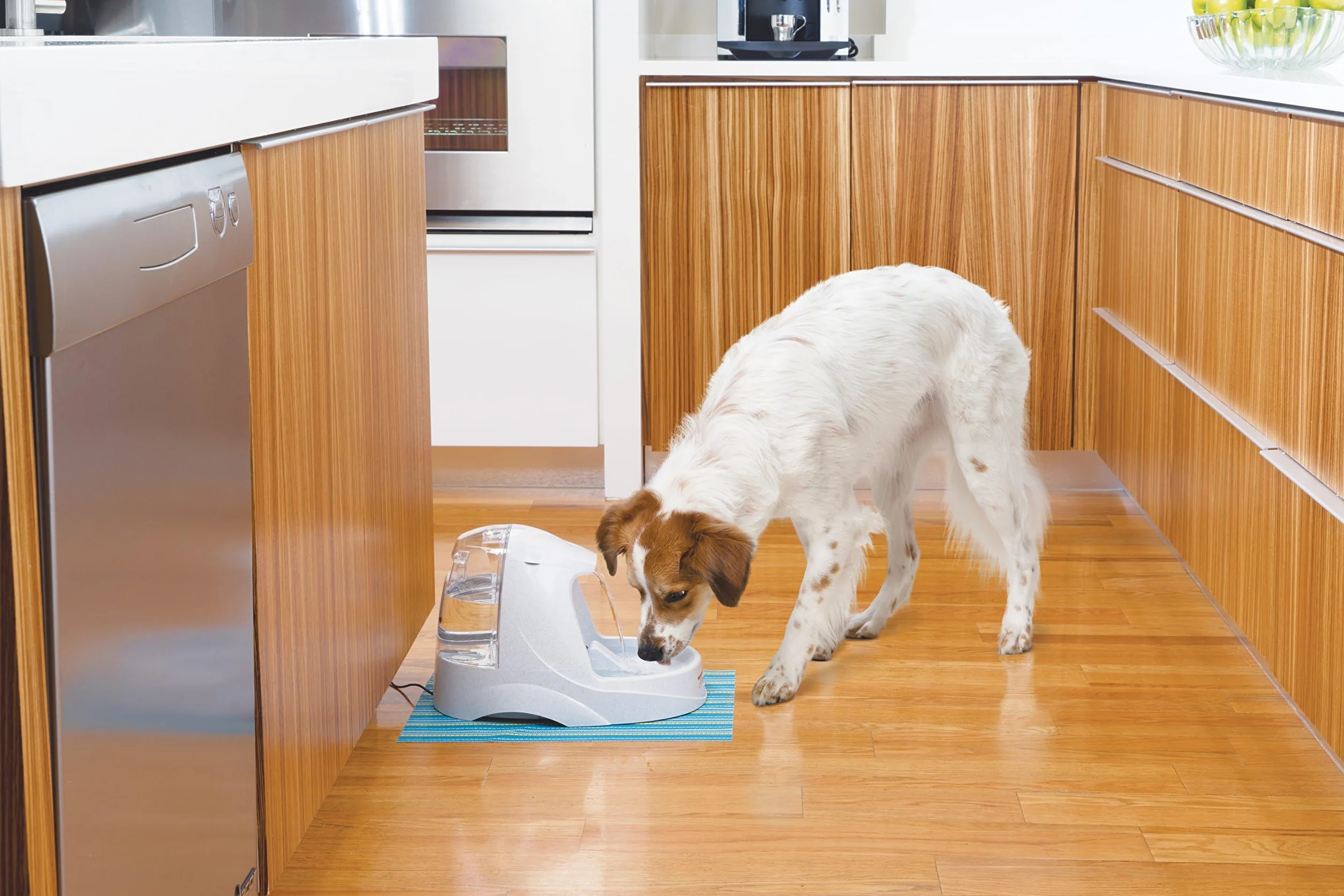PetSafe Drinkwell - Pompa di ricambio per fontane Platinum e Original Pet