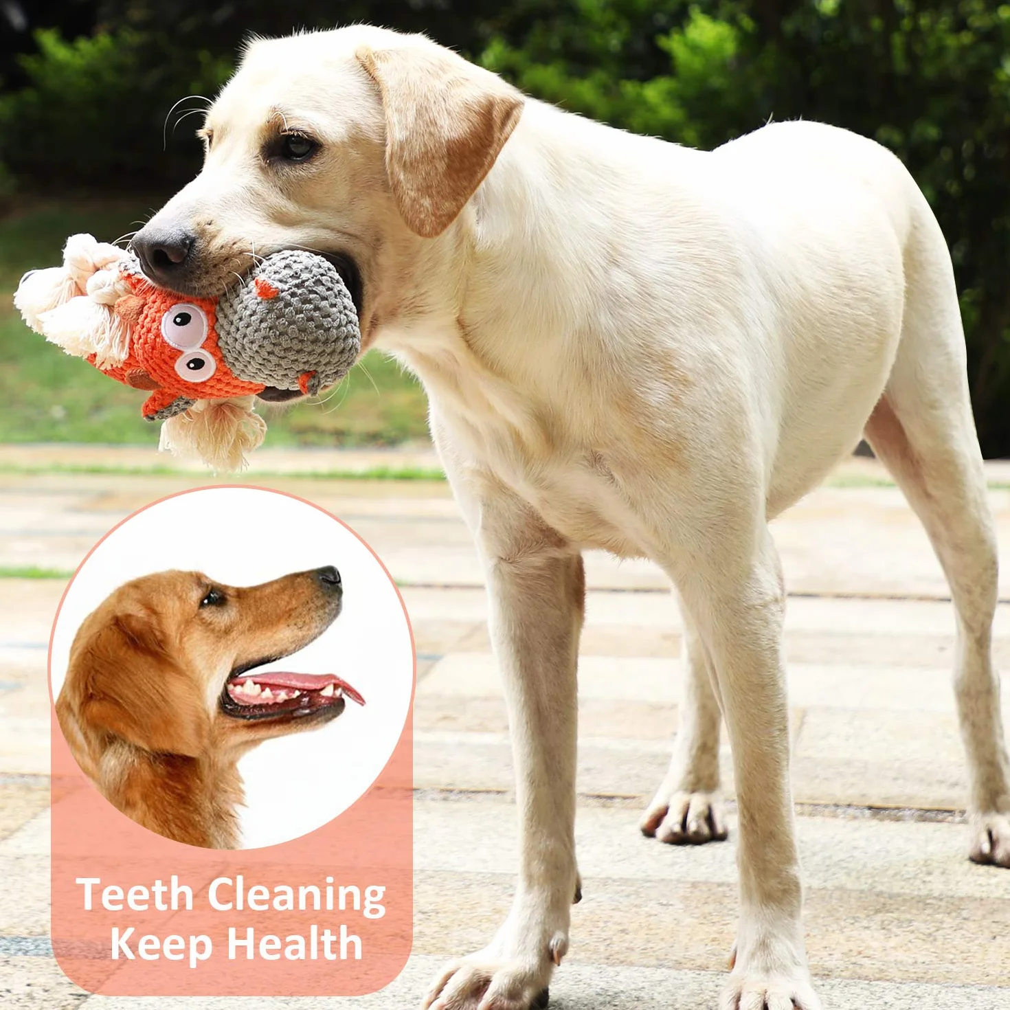 Iokheira Giocattoli per Cani, Giochi con squeak interattivo per Cani, Robusto Cane Giocattolo masticabile con Materiale di Cotone e Carta stropicciata (arancia, Bestiame)