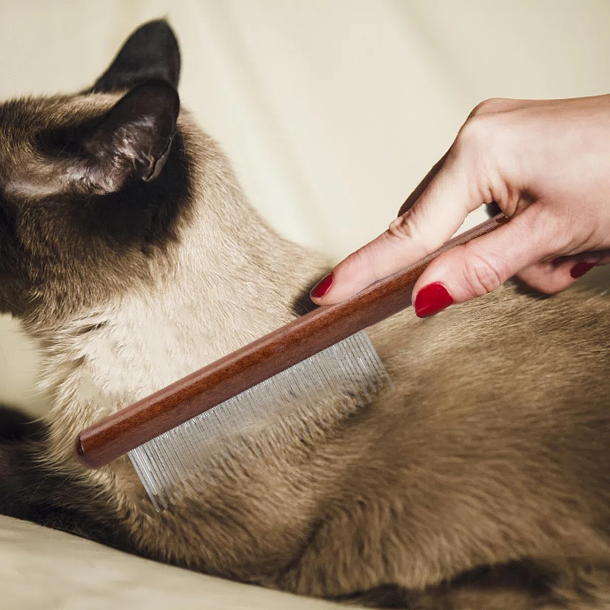 Pettine Antipulci Per Gatti - Pettine Antipulci Per Gatti | Pettine Antipulci Con Aghi In Acciaio Inossidabile Con Manico In Legno | Spazzola Per Toelettatura Di Animali Domestici Con Denti Densi