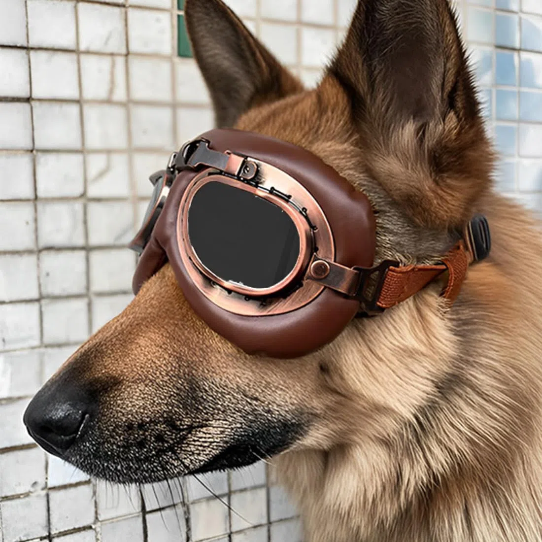 Occhiali da Sole Retrò per Cani, Protezione UV Antivento, Regolabili, Adatte a Cani di Taglia Media-Grande