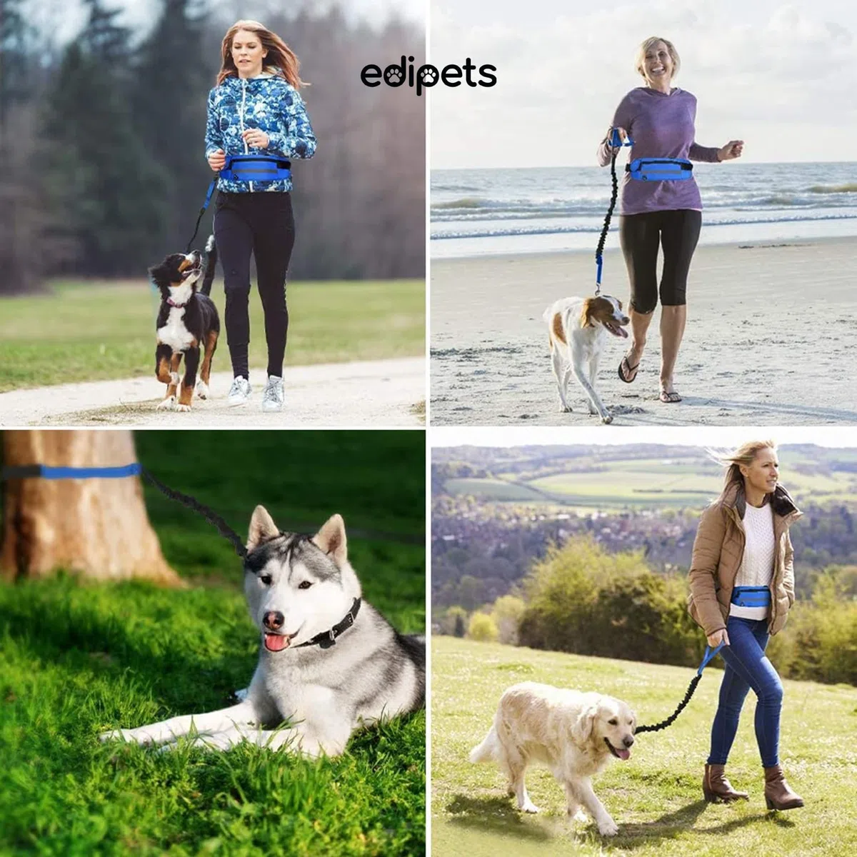 Edipets, Guinzaglio Mani Libere per Cani, per Corsa, Jogging, Running, Anti-tiro, Riflettente, 160-220 cm (Blu)