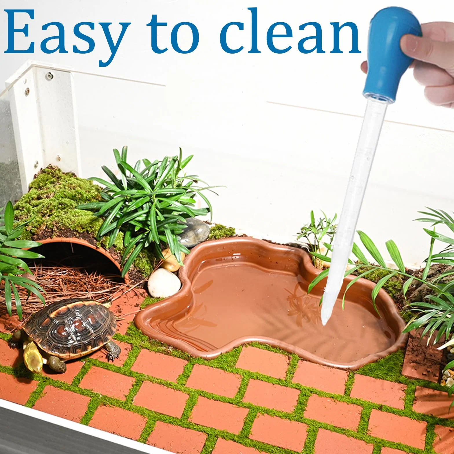 Vasca da bagno per rettili Piscina per Rettili Grande Piscina per Tartaruga Terrestre con Assorbitore d'acqua Manuale per Rettili Come Tartarughe, Lucertole, Serpenti