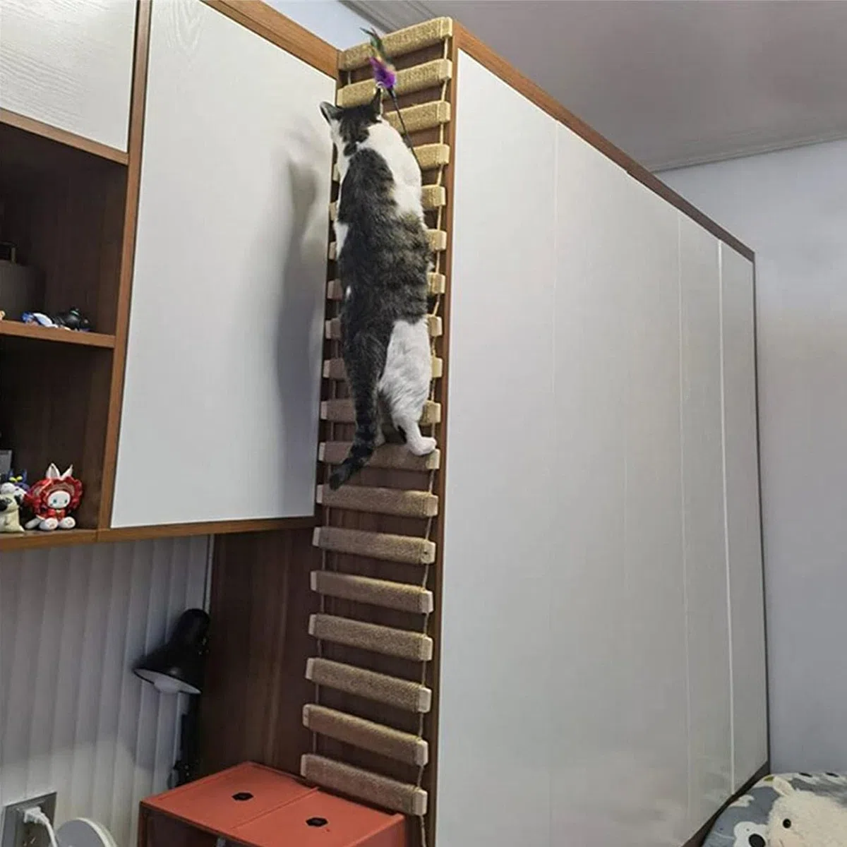 Telaio per arrampicata per gatti Outdoor Cat Tree Wall Climbing Bridge Scaletta per gatti Animali domestici Telaio per arrampicata da parete per gatti Mobili da parete Corda di canapa Scala da 50,8 cm