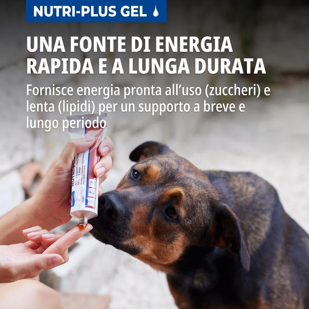 Virbac Nutri-Plus Gel | 120 g | Alimento complementare dietetico per cani e gatti | Fonte di energia concentrata