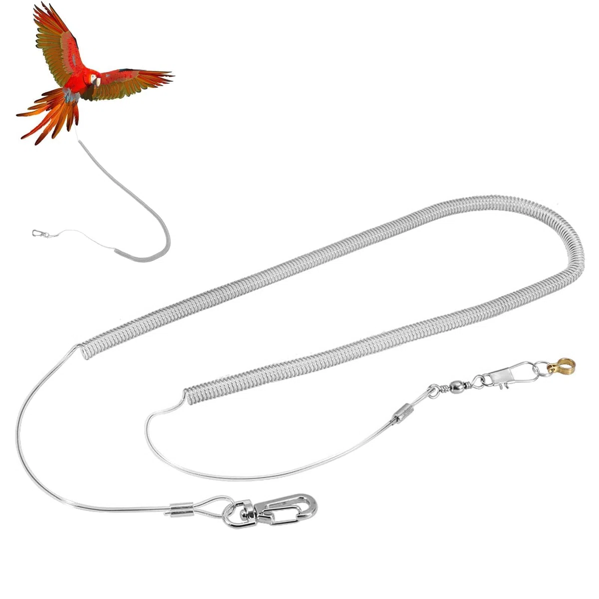 Corda Volante per Pappagallo, 6M Anti-Morso Cavigliera per Uccelli Domestici Imbracatura Regolabile per Pappagallo Fede per Pappagalli, Piccoli Animali Domestici(6,5MM+6M)