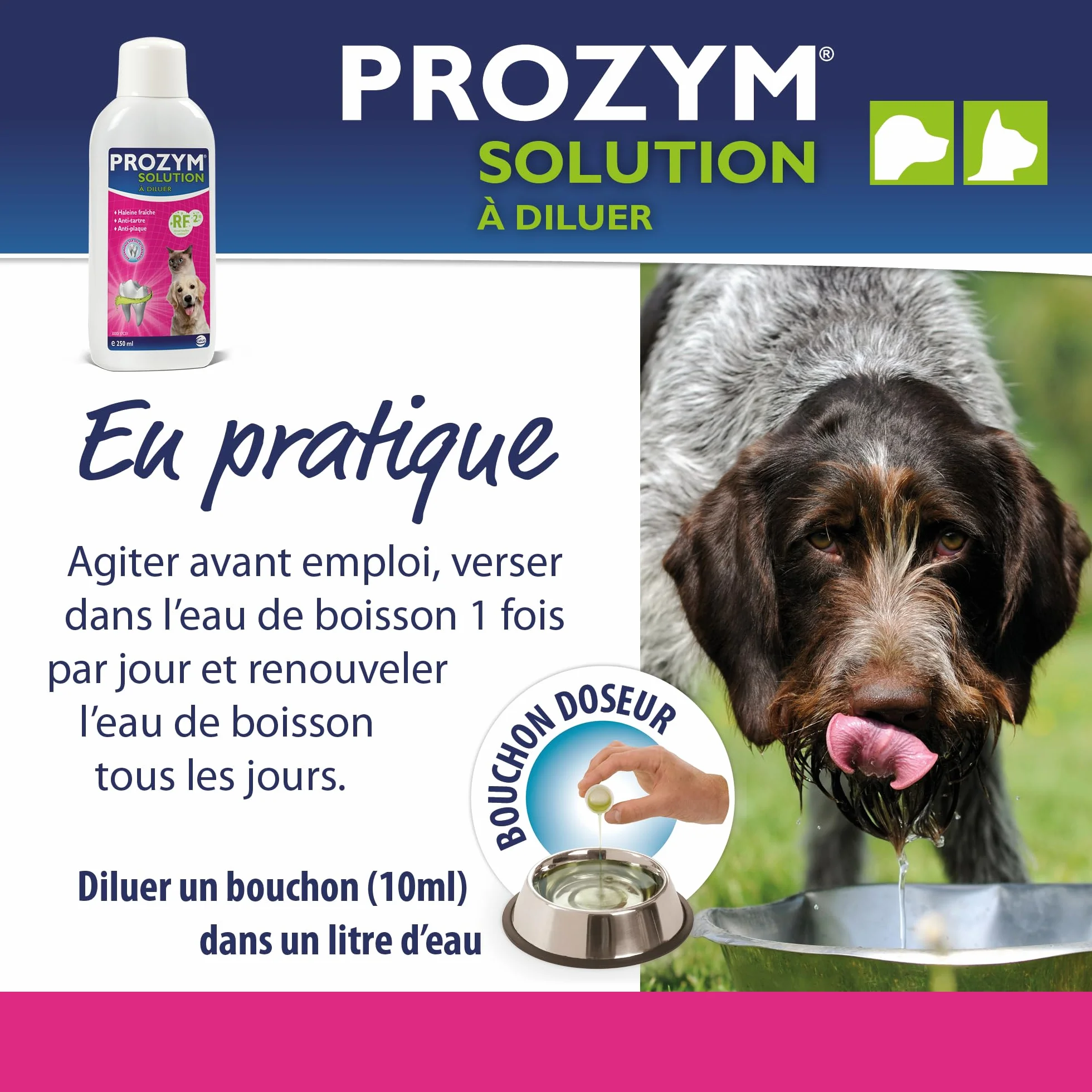Prozym - Soluzione dentale diluente per cani e gatti - N. 1 nei veterinari - Alito fresco - Anti-tartaro - Anti-placca - Gengive sane