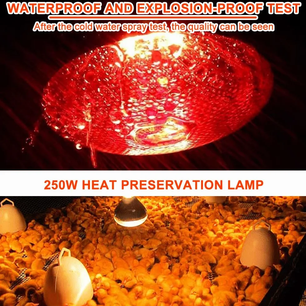 Lampada Infrarossi Riscaldante, 250W Reptile Lampada Riscaldantes, Lampadina Riscaldante E27, Lampadas per Tartarughe di Terra, per Polli, Cani, Maiali, Tartarughe, Lucertole